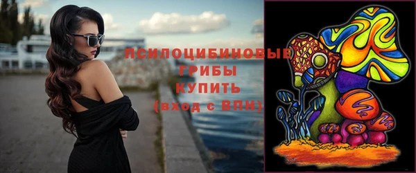 индика Нефтекумск