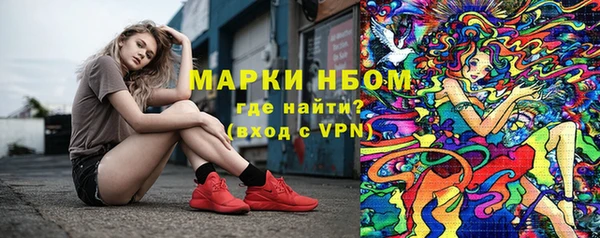 спиды Новозыбков