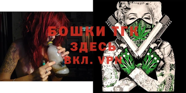 индика Анжеро-Судженск