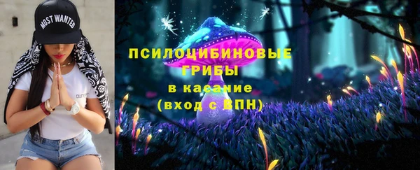 гидропоника Новодвинск