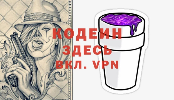 стаф Нея