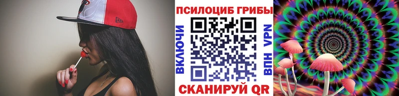 купить наркоту  Приморско-Ахтарск  Псилоцибиновые грибы прущие грибы 