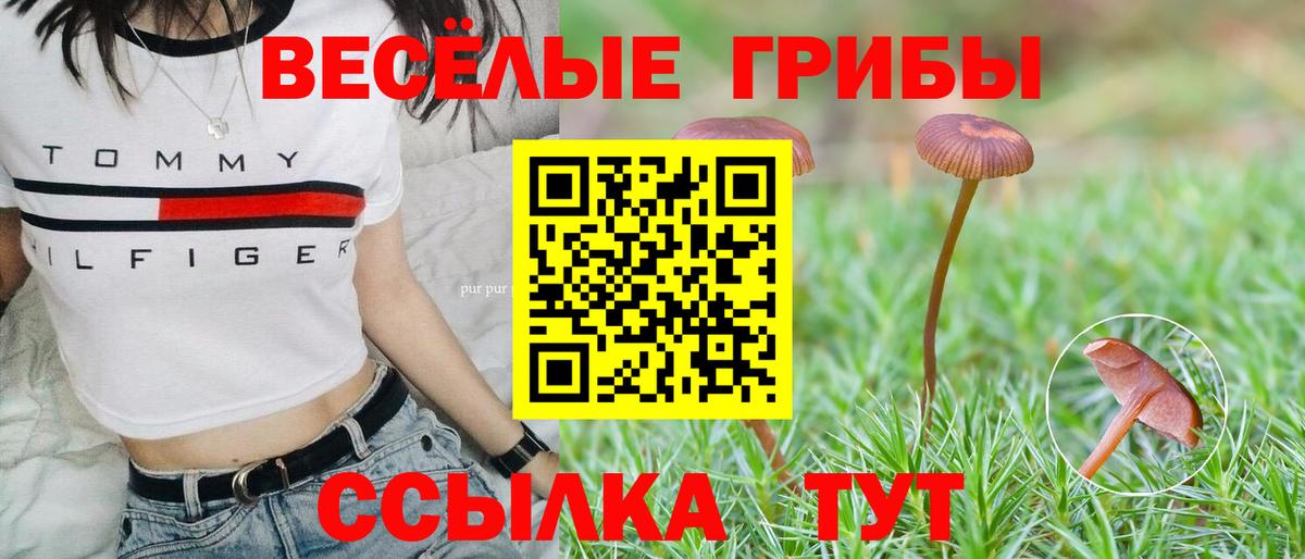 Псилоцибиновые грибы мухоморы Приморско-Ахтарск