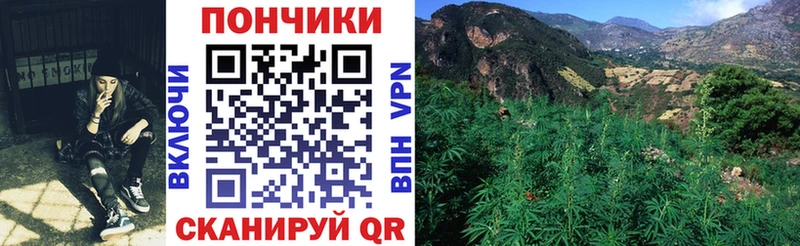 Шишки марихуана White Widow Приморско-Ахтарск